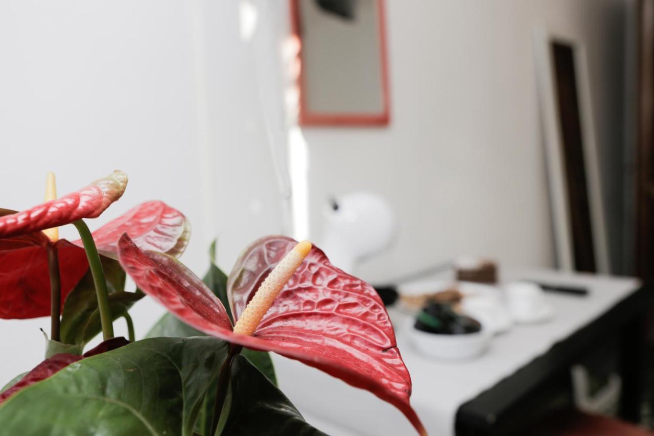 Santa Croce Guest House Venice Ngoại thất bức ảnh